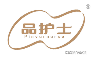 品护士 PINVARNURSE