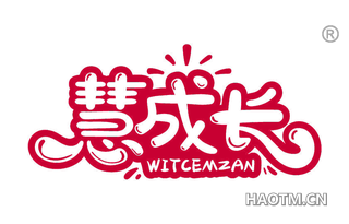 慧成长 WITCEMZAN