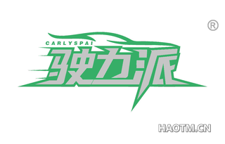 驶力派 CARLYSPAI