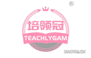 培领冠 TEACHLYGAM