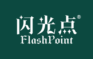 闪光点 FLASHPOINT