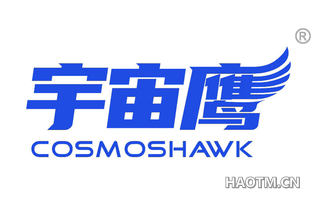 宇宙鹰 COSMOSHAWK