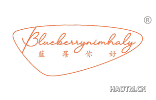 蓝莓你好 BLUEBERRYNIMHALY