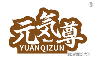 元尊 YUANQIZUN