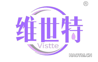 维世特 VISTTE