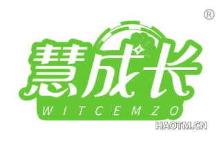 慧成长 WITCEMZO