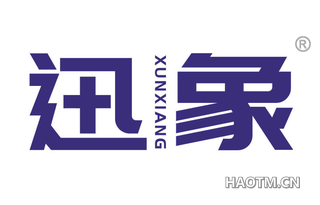 迅象 XUNXIANG