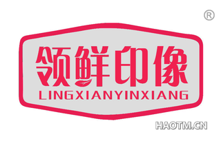 领鲜印像 
