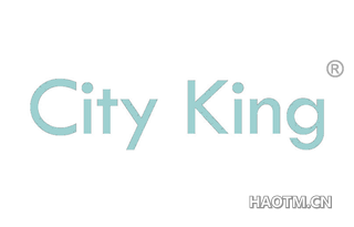 CITY KING