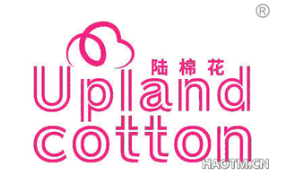 陆棉花 UPLAND COTTON