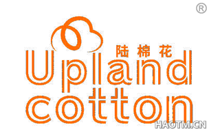 陆棉花 UPLAND COTTON