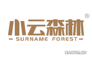 小云森林 SURNAME FOREST