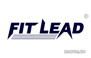  FIT LEAD