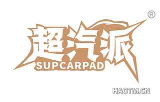 超汽派 SUPCARPAD