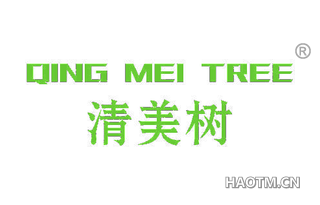 清美树 QING MEI TREE