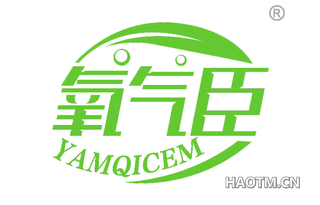 氧气臣 YAMQICEM