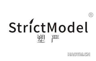 塑严 STRICTMODEL