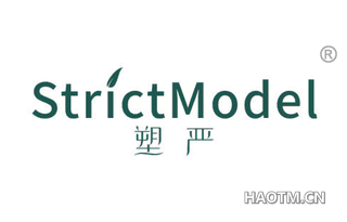 塑严 STRICTMODEL