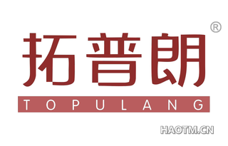 拓普朗 TOPULANG