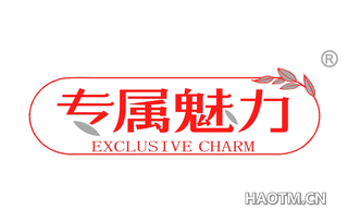 专属魅力 EXCLUSIVE CHARM