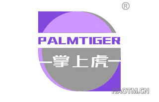 掌上虎 PALMTIGER