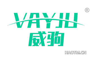 威驹 VAYJU