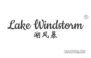 湖风暴 LAKE WINDSTORM
