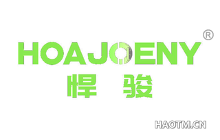 悍骏 HOAJOENY