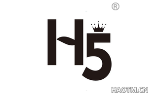 H5图形