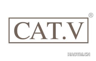  CAT V