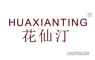 花仙汀 HUAXIANTING