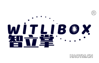 智立掌 WITLIBOX