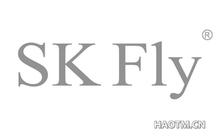 SK FLY