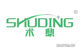 术鼎 SHUDING