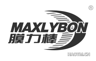 膜力棒 MAXLYBON