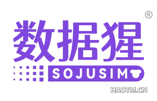 数据猩 SOJUSIM