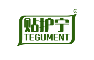 贴护宁 TEGUMENT