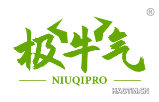 极牛气 NIUQIPRO