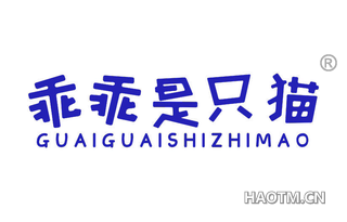 乖乖是只猫 