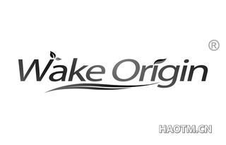 WAKE ORIGIN