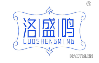 洛盛鸣 
