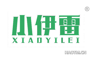 小伊雷 