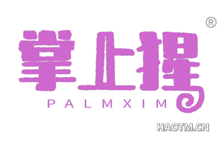 掌上猩 PALMXIM