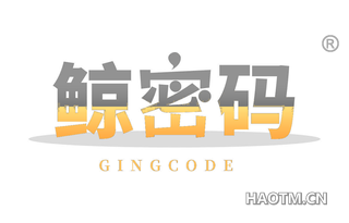 鲸密码 GINGCODE