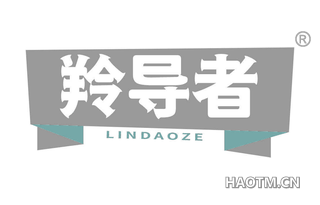 羚导者 LINDAOZE