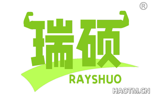 瑞硕 RAYSHUO