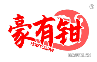 豪有钳 HOWYOQIAN