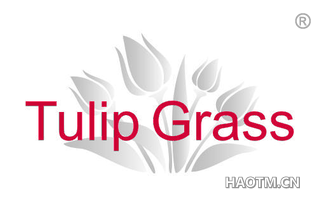TULIP GRASS