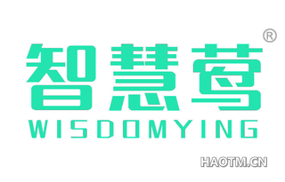 智慧莺 WISDOMYING