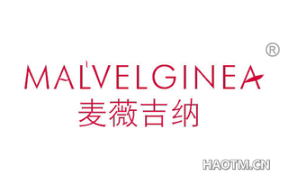 麦薇吉纳 MALVELGINEA